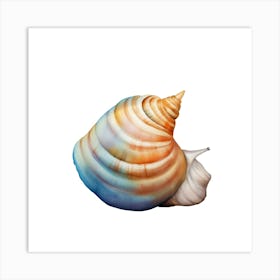 Seashell Art Print