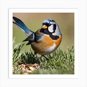 Blue Tit 16 Art Print