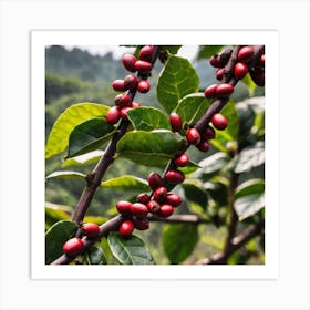 Coffee Berries On A Tree 2 Art Print