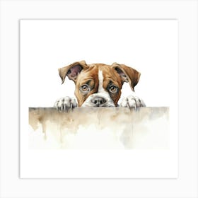 Boxer Dog 12 Art Print