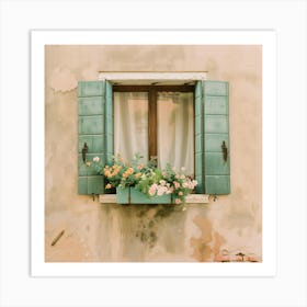 Green Shutters On A Window Art Print