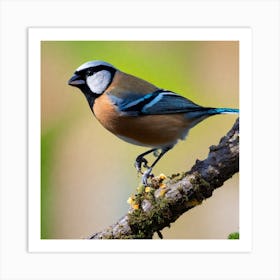 Blue Tit 64 Art Print