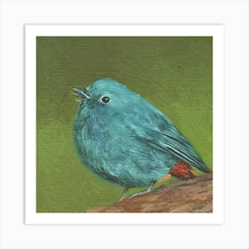 Blue bird Art Print