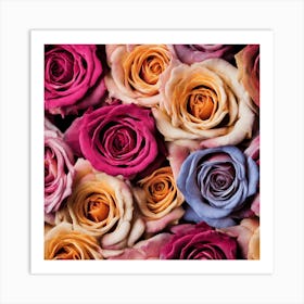 Colorful Roses Art Print