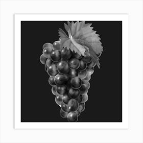 Black And White Grapes 1 Art Print