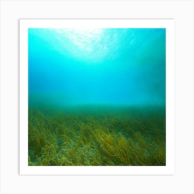 underwater nature 1 Art Print