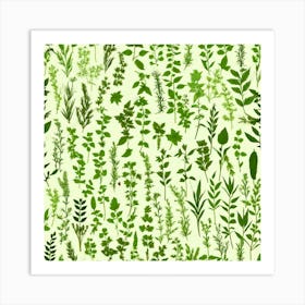 Thyme 2 Art Print