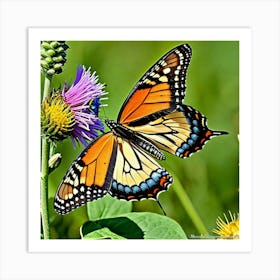 Butterflies Insect Lepidoptera Wings Antenna Colorful Flutter Nectar Pollen Metamorphosis (12) 1 Art Print