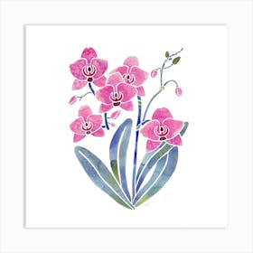 Orchid Square Art Print