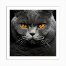 Whiskers in Focus: A Close-Up of a Cat's Face Art Print