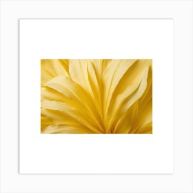 Yellow Dahlia Art Print