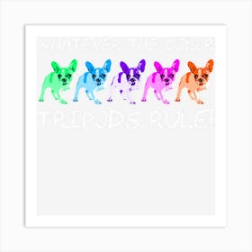 Tripod Tripawd Funny Three Legged Dog Art Print