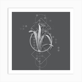 Vintage Iris Fimbriata Botanical with Line Motif and Dot Pattern in Ghost Gray n.0086 Art Print