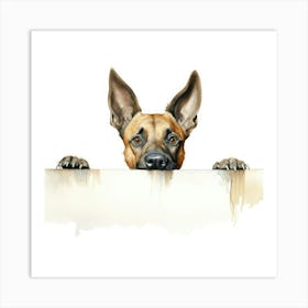 Belgian Shepherd Dog Art Print