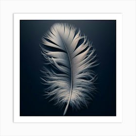 Feather Art Print