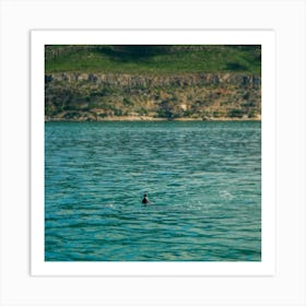 Dolphins In The Sea Art Print