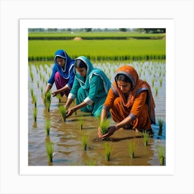 An Image Of Women Working In Rice Field, Planting The Rice Saplings, Pakistan. 6 Art Print