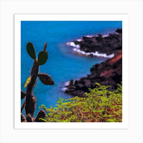 Cactus On The Beach Art Print