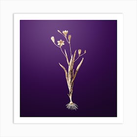 Gold Botanical Ixia Bulbifera on Royal Purple n.0260 Art Print