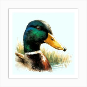 Duck Head Color Drawing - Wild Bird Artwork 130 Art Print