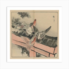 Doves On A Bridge Art Print