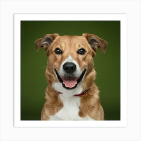 Portrait Of A Dog 4 Art Print