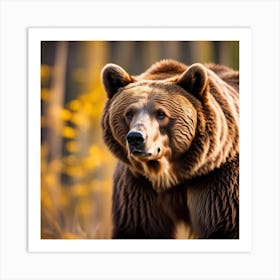 Brown Bear Art Print