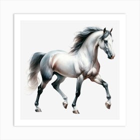 White Horse On Black Background 1 Art Print