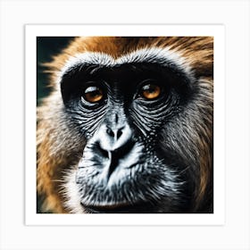 Close Up Of A Monkey 1 Art Print