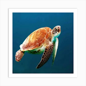 Turtle Art Print