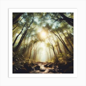 Forest In The Morning Art Print