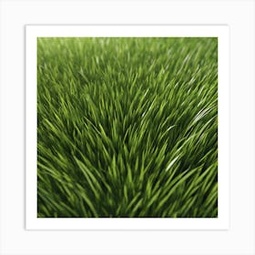 Green Grass 42 Art Print