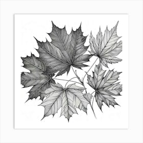 Line Art maple leaves Art Print