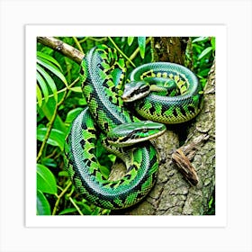 Emerald Tree Boa Snake Reptile Green Arboreal Tropical Rainforest Amazon South America Co (5) Art Print