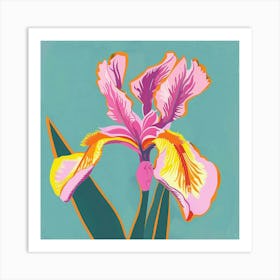 Iris 1 Square Flower Illustration Art Print