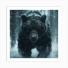 Black Bear In The Snow 1 Art Print