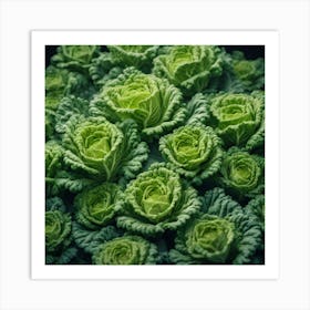 Cabbages 1 Art Print