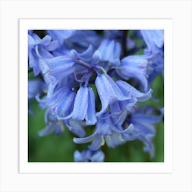 Blue floral Art Print