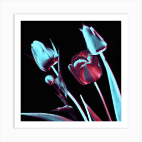 3d Tulips Art Print