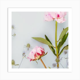 Spring roses Art Print