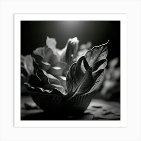 Black And White Photography 2 Art Print