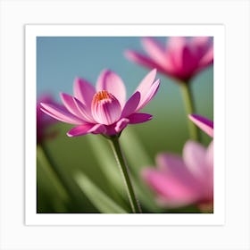 Pink Lotus Flower Art Print