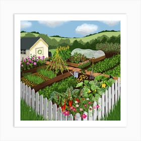 Summer Allotment 1 Art Print