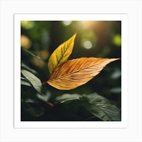 Autumn Leaves In The Forest Art Print