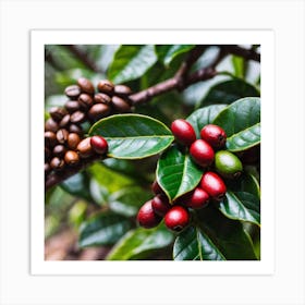 Coffee Beans On A Tree 47 Art Print