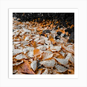 Autumn Leaves On The Ground 1 Art Print