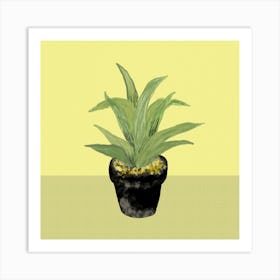 Cactus In Yellow Square Art Print