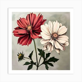 Two Cosmos Art Print