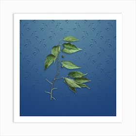 Vintage European Nettle Tree Botanical on Bahama Blue Pattern n.1266 Art Print