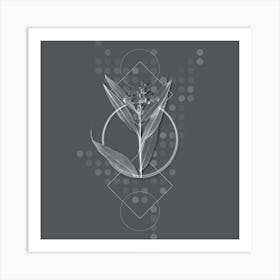 Vintage Globba Erecta Botanical with Line Motif and Dot Pattern in Ghost Gray Art Print